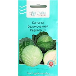 Семена Капуста белокочанная Реактор F1, арт.: 3263