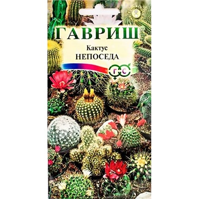 Семена Кактус Непоседа, арт.: 4713
