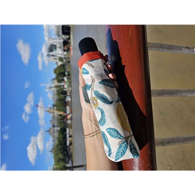 L907-4316 MadderFruit (Плоды марены) Зонт женский механика Morris Co Fulton