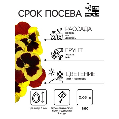 Семена Виола "Майя Виттрока", ц/п,  0,05 г