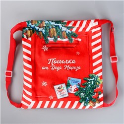 Рюкзак - мешок детский новогодний «Посылка от Деда Мороза», 35×30 см