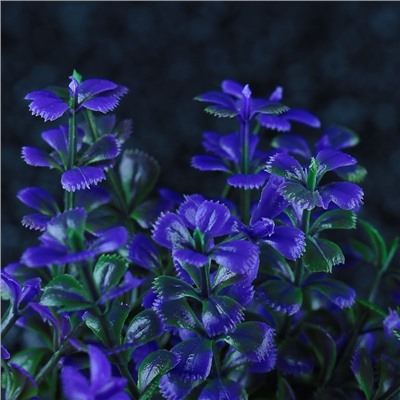 Набор растений для аквариума и террариума - 2 шт., 10 см