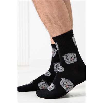 Носки мужские Драматик кот (набор 2 пары)