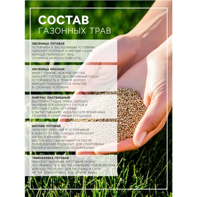 Газонная травосмесь «Детский» 0.5 кг