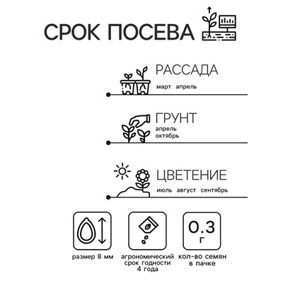 Семена Астра "Художественная", ц/п,  белая, 0,3 гр.