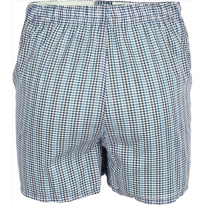 Трусы D05GY DIM Basic