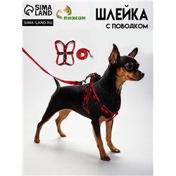 Комплект "Большая лапа", ширина 1,5 см, поводок 120 см, шлейка 28-42 см, красно-чёрный