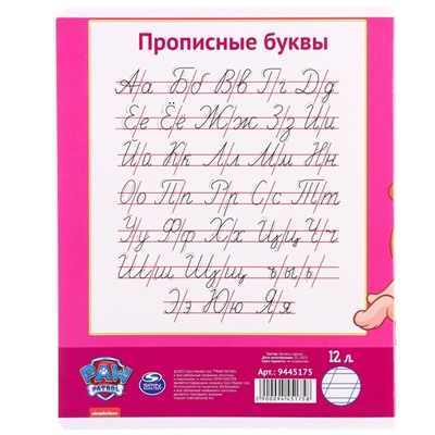 Тетрадь в косую линейку 12 листов, 5 видов МИКС, обложка мелованный картон, «Щенячий патруль»