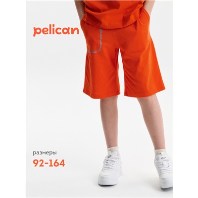 Шорты для мальчика