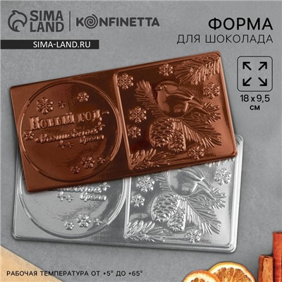 Форма для шоколада новогодняя «Волшебное время», 18×9.5 см