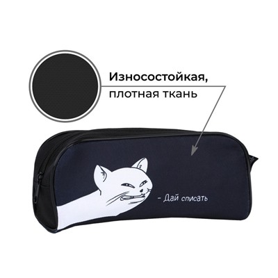 Пенал школьный текстильный «Дай списать», 20×8×4 см