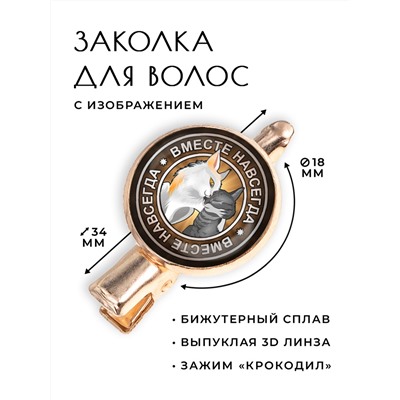 HZF-0146 Заколка Вместе навсегда