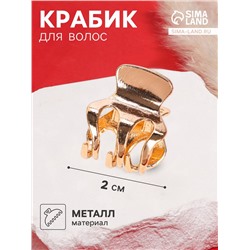 Крабик для волос «Брианна», зубья, 2 см, золото