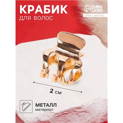 Крабик для волос «Брианна», зубья, 2 см, золото