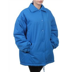 H24-216 BLUE Куртка демисезонная женская (100 гр. синтепон)