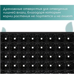 Кассета для рассады, 50 ячеек по 75 мл, пластик, чёрная, 56×29.5×4 см, Greengo