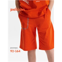 Шорты для мальчика