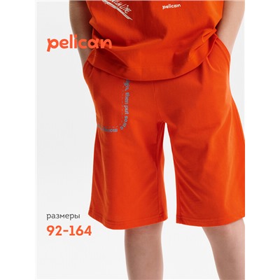 Шорты для мальчика