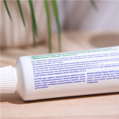 Зубная паста «Весна», фтор + кальций, для всей семьи, 90 г