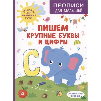 Шестакова Ирина Борисовна: Пишем крупные буквы и цифры