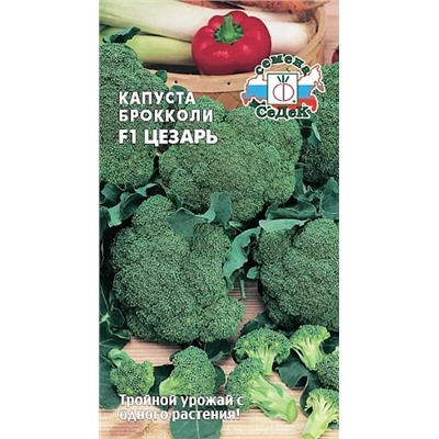 Семена Капуста брокколи Цезарь F1, арт.: 71549