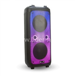 Колонка 10" (20-62 FIRE BOX 1000) динамик 2шт/10" ELTRONIC с TWS