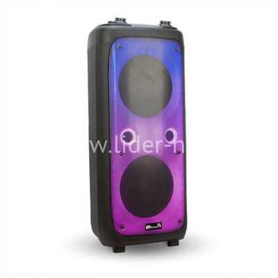 Колонка 10" (20-62 FIRE BOX 1000) динамик 2шт/10" ELTRONIC с TWS