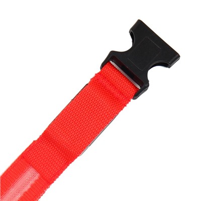 Ошейник с подсветкой размер XL, ОШ 52-60×2.5 см, 3 режима свечения красный