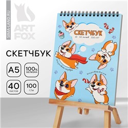 Скетчбук А5, 40 л 100 г/м2 «Корги»