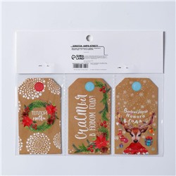 Шильдик декоративный в наборе «Счастья в Новом Году», 9×5 см, 6 шт.