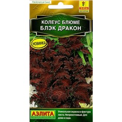 1348 Колеус блюме Блэк дракон 10шт