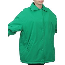 H24-216 GREEN Куртка демисезонная женская (100 гр. синтепон)