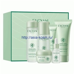 Набор для ухода за кожей Exgyan с экстрактом центеллы-6 предметов.