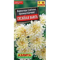 Бархатцы Снежная вьюга, арт.: 71262
