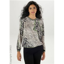 Blusenshirt