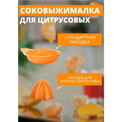 Соковыжималка для цитрусовых Martika «Мадена», 300 мл, пластик, МИКС