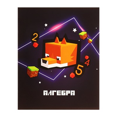 Набор предметных тетрадей А5, 36 листов Сalligrata «Пиксели», 10 предметов
