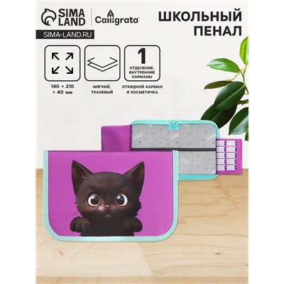 Пенал 1 секция 140×210×40 мм, откидной карман, косметичка, тканевый, Calligrata TOP Content «Котик»