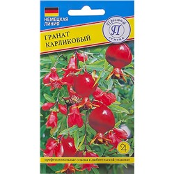 Семена Семена Гранат Карликовый (РС-1), арт.: 5339