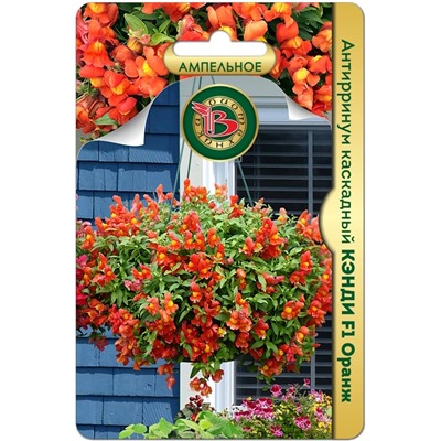 Антирринум каскадный Кэнди F1 Оранж