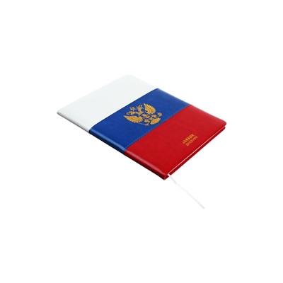 Дневник школьный для 1-11 классов, deVENTE «Я ОК», искусственная кожа