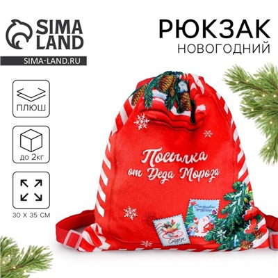 Рюкзак - мешок детский новогодний «Посылка от Деда Мороза», 35×30 см