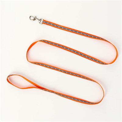 Комплект светоотражающий «Косточки», ошейник 120×1 см, ОШ 24-40 см, ОГ 24-40 см оранжевый
