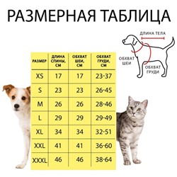 Свитер "Полоски", S (ДС 23, ОШ 23, ОГ 26-45 см)