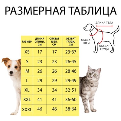Свитер "Полоски", S (ДС 23, ОШ 23, ОГ 26-45 см)