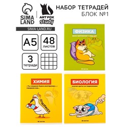 Тетради предметные, 48 л., А5, набор из 3 шт. «Персонажи»