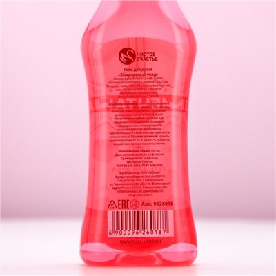 Гель для душа мартини «Мечтай!», 500 мл, аромат ягодного десерта, Чистое счастье