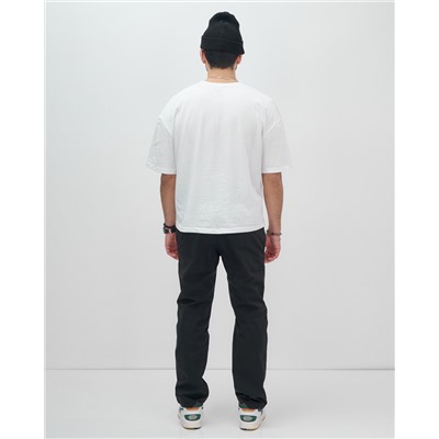 Брюки утепленный мужской зимние спортивные черного цвета 2211-1Ch