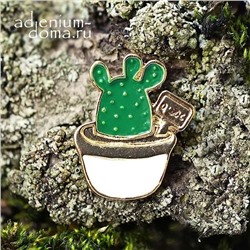 Значок Кактус Opuntia MICRODASYS II (Опунция, Брошь)