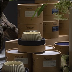 Свеча ароматическая Sandalwood, Bergamot & Citrus из коллекции Edge, бежевый, 30 ч